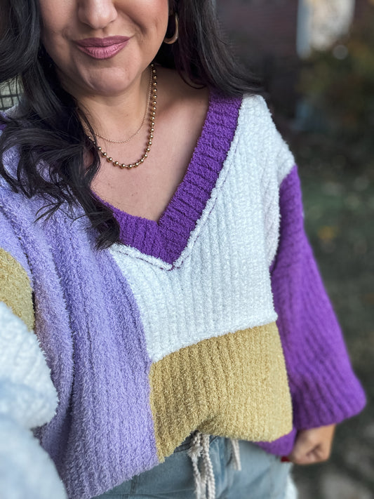 purple & gold sweater